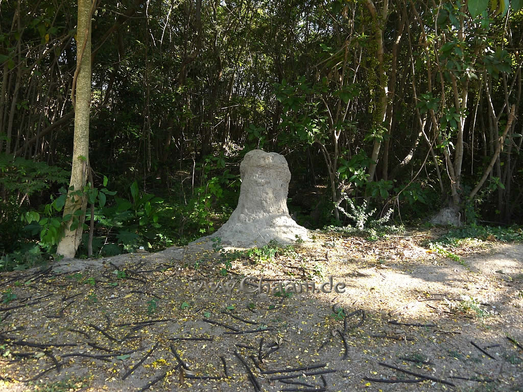 Termitenhügel in Cha-Am