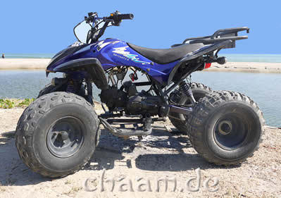 ATV Quad in blau mieten
