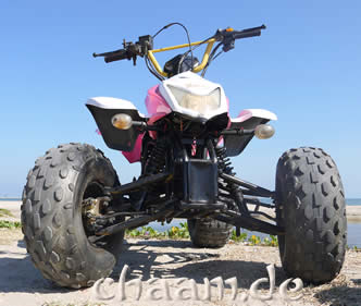 ATV Quad in Pink mieten
