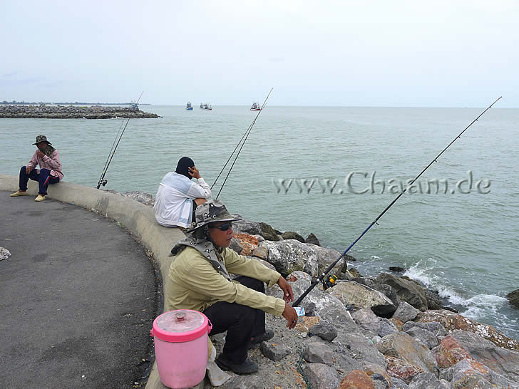 Angler am Hafen von Cha-Am