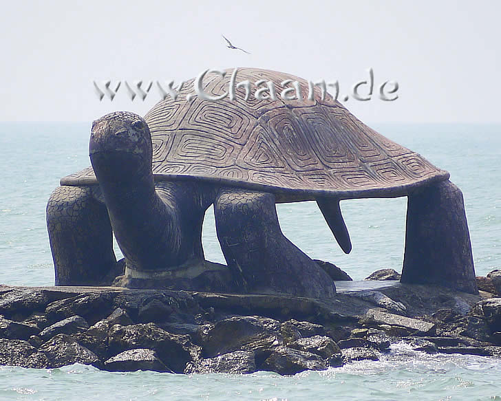 Schildkröte aus Stein in Puek Tian