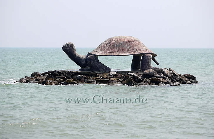 Schildkröte auf Insel in Puek Tian