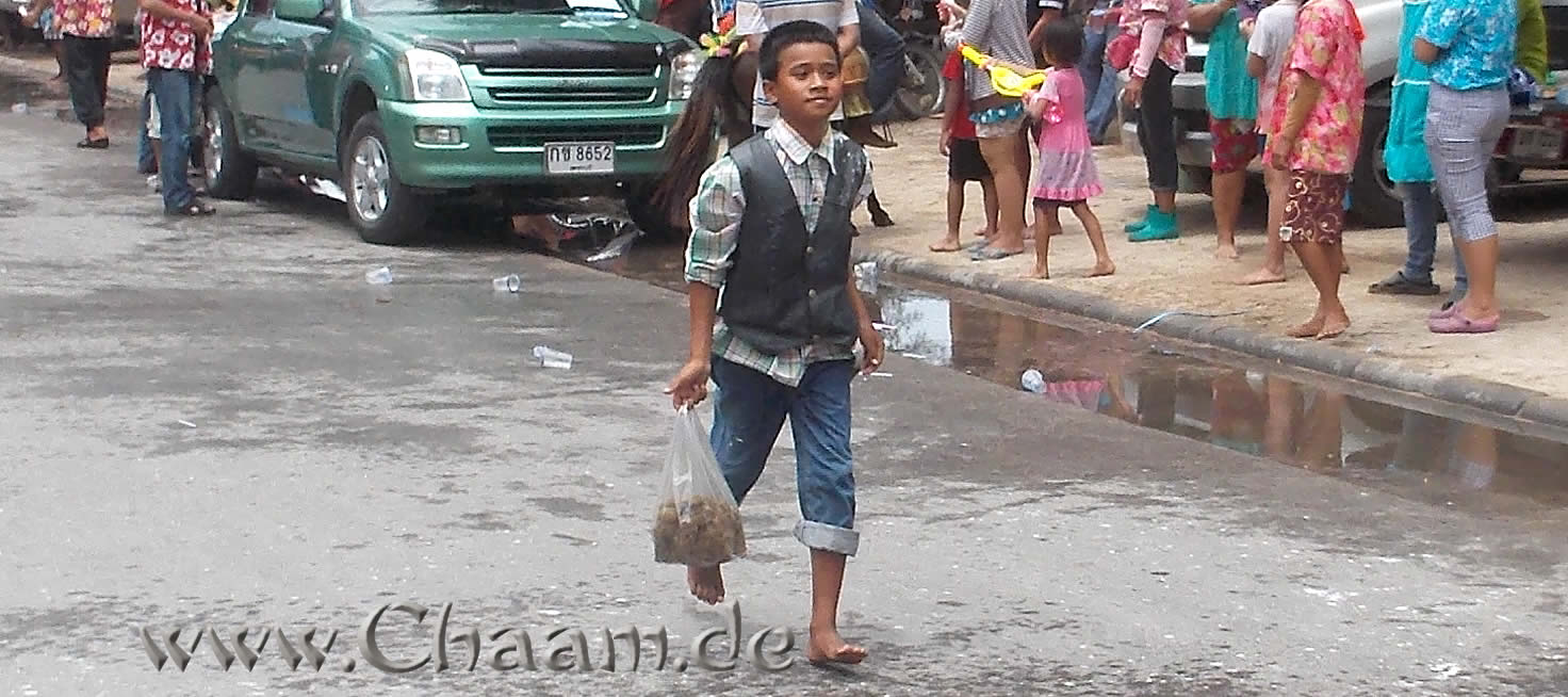 Pferdeapfel Junge Cha-Am Thailand