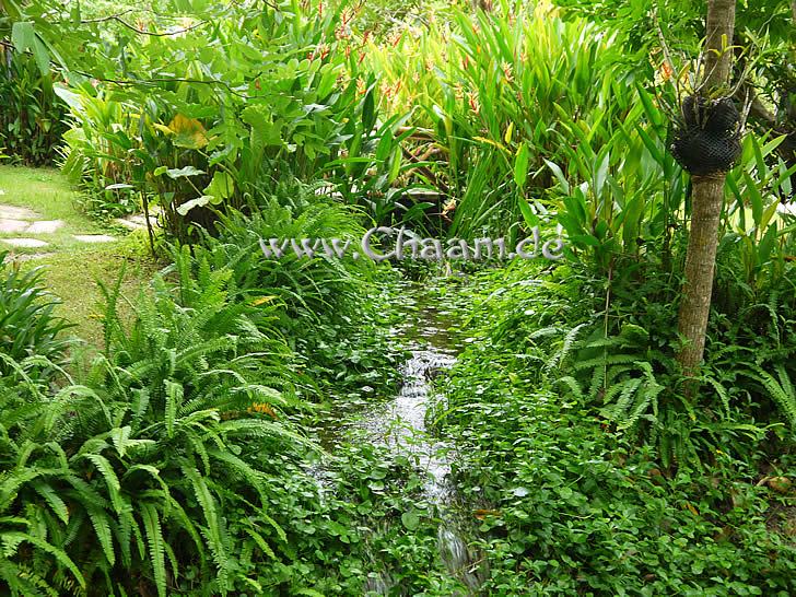 künstlich angelegter Fluss in Thailand